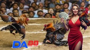Tổng quan về bộ môn Đá gà Da88